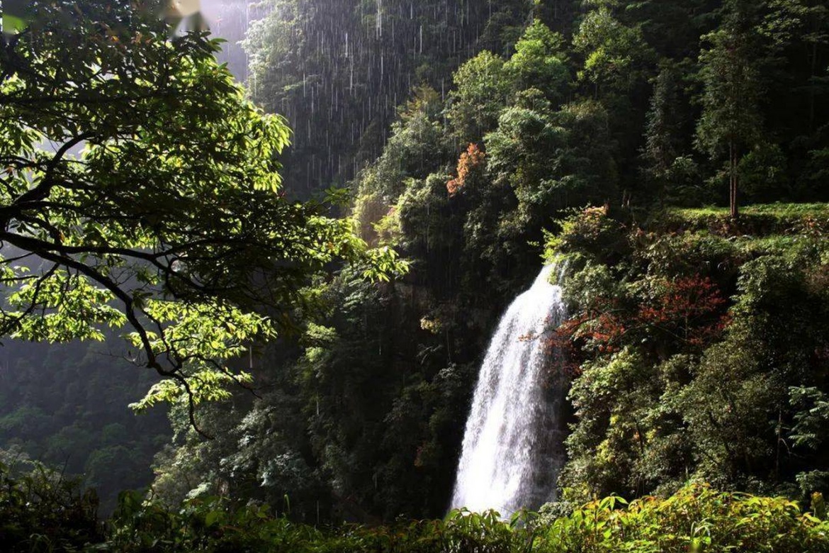 Huangjing Old Forest